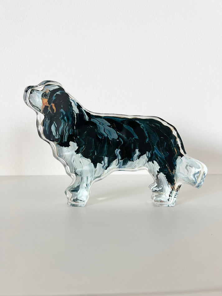 Acrylic Cavalier King Charles, Black