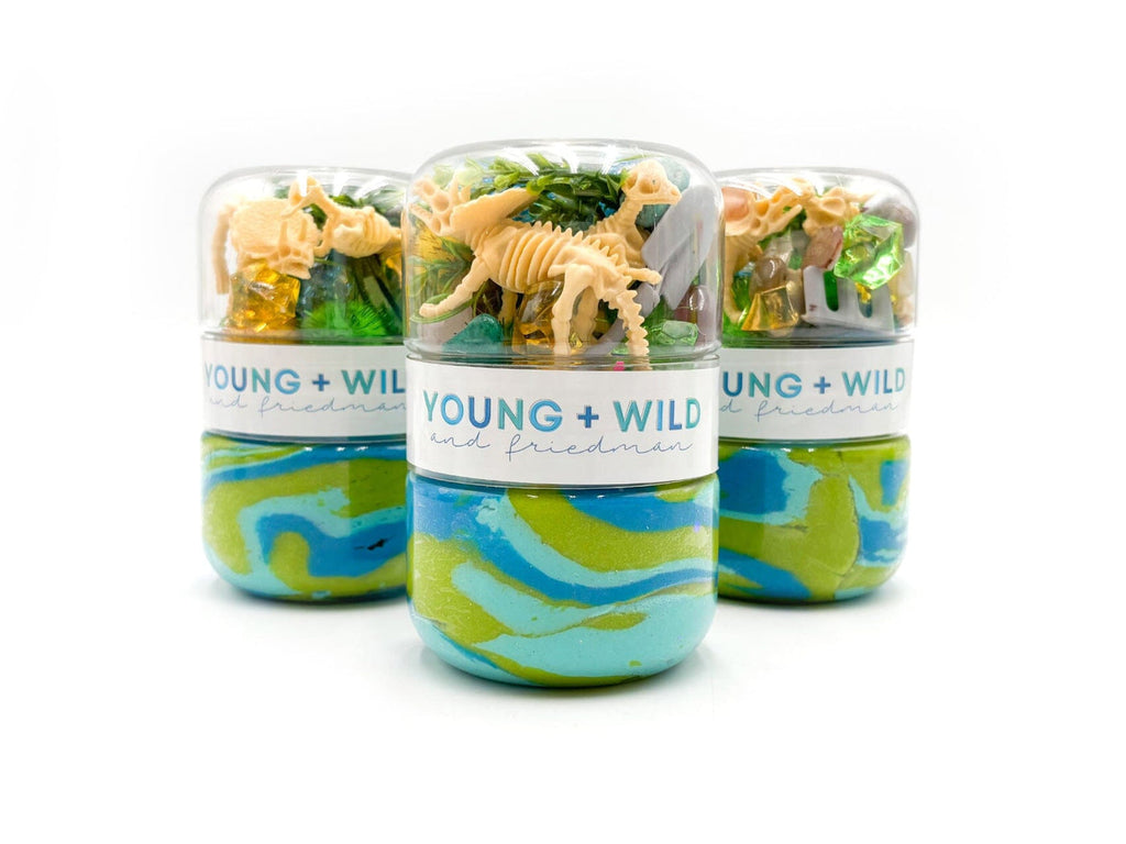 Grab & Go Dough Jar - Dino Fossils
