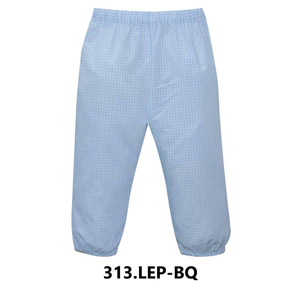 Logan Pant, blue check