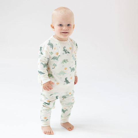 Raglan Sweatshirt & Jogger Set - Soft Dinos