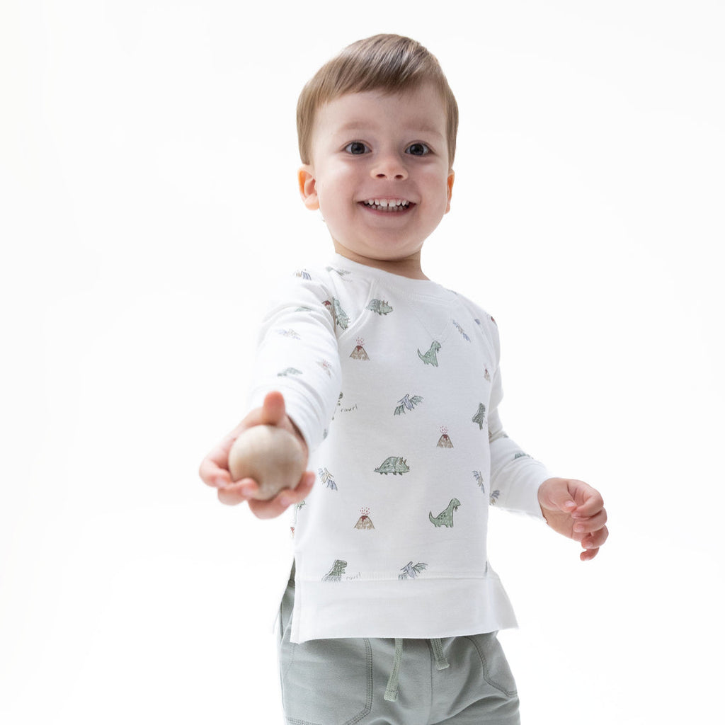 Raglan Sweatshirt and Jogger Set - Dinos French Terry