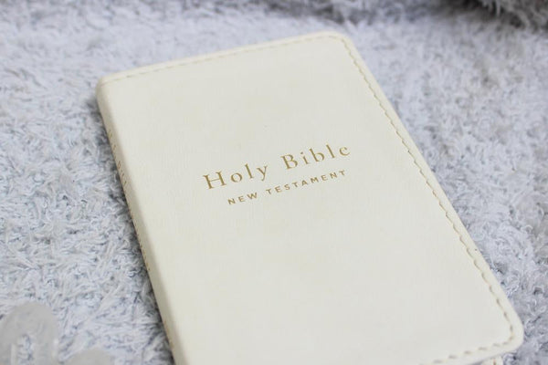 NIV Tiny Testament Bible