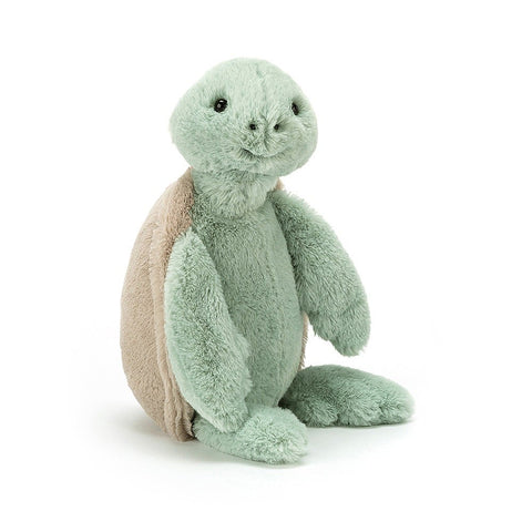 Bashful Turtle, little