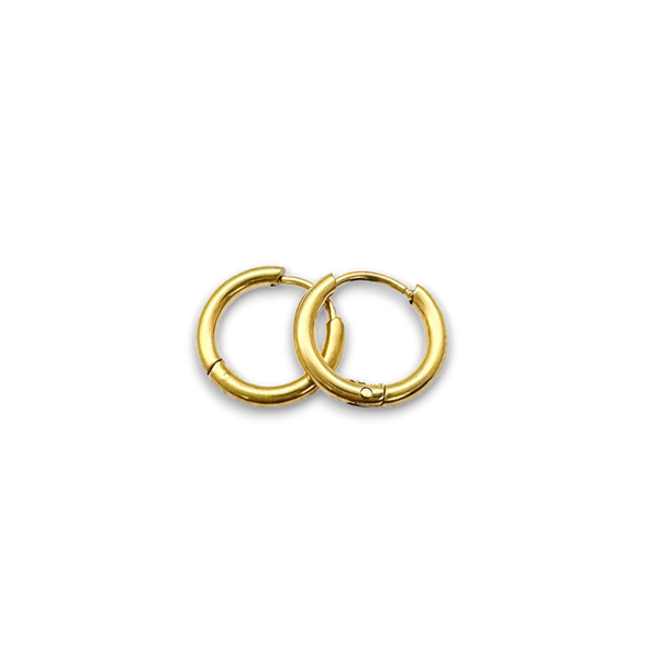Tiny Hoops Earrings