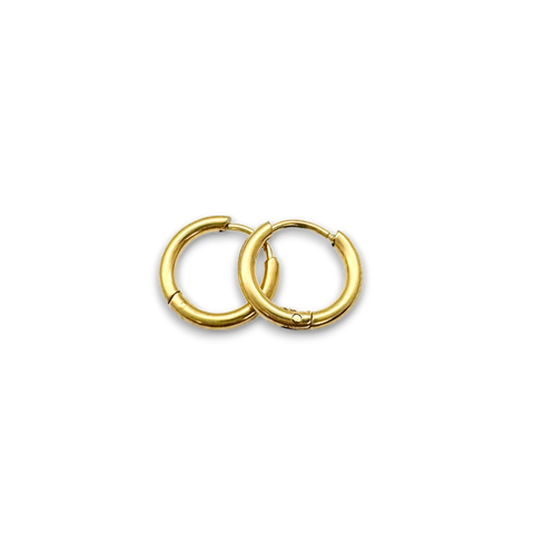 Tiny Hoops Earrings
