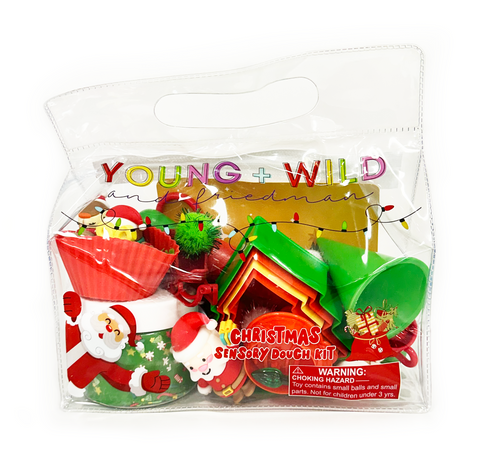 Sensory Dough Bag - Christmas