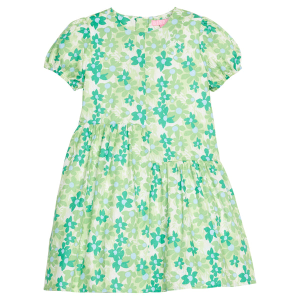 Phillipa Dress - Greenspring Groovy Floral