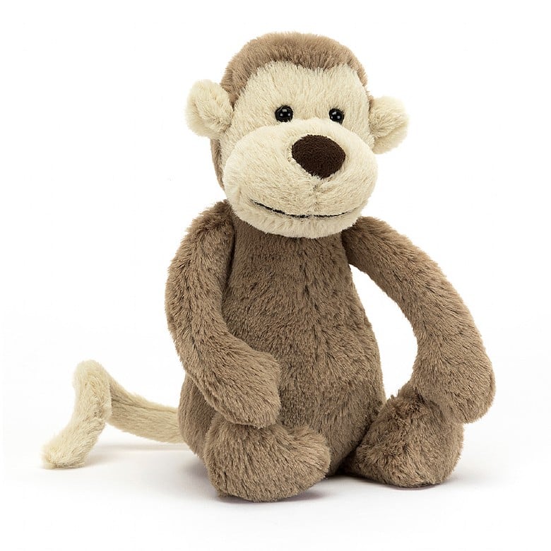 Bashful Monkey, small