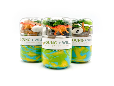 Grab & Go Jar - Dinosaur