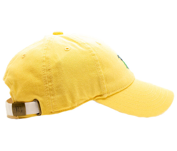 Golf Cart Baseball Hat