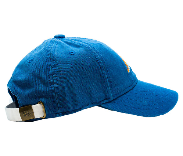 Stegosaurus Baseball Hat
